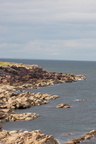 2019-06-n10-9216