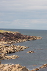 2019-06-n10-9217