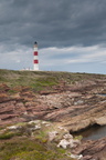2019-06-n10-9289