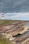 2019-06-n10-9291