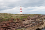 2019-06-n10-9293