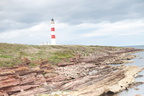 2019-06-n10-9295