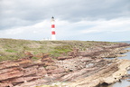2019-06-n10-9296