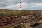 2019-06-n10-9315
