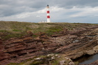 2019-06-n10-9316