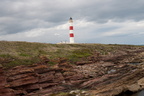 2019-06-n10-9317