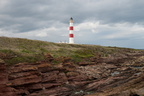 2019-06-n10-9318