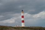 2019-06-n10-9319