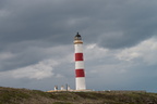 2019-06-n10-9320