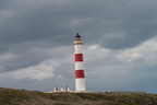 2019-06-n10-9321