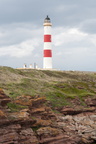 2019-06-n10-9322