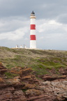 2019-06-n10-9323