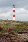 2019-06-n10-9324
