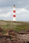 2019-06-n10-9325