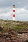 2019-06-n10-9326
