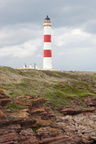 2019-06-n10-9327