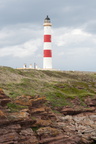 2019-06-n10-9328
