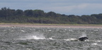 2019-06-n5-9326