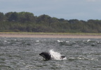2019-06-n5-9382