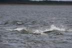 2019-06-n5-9782