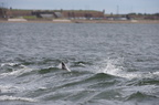 2019-06-n5-9807