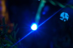 2019-12-n10-0158