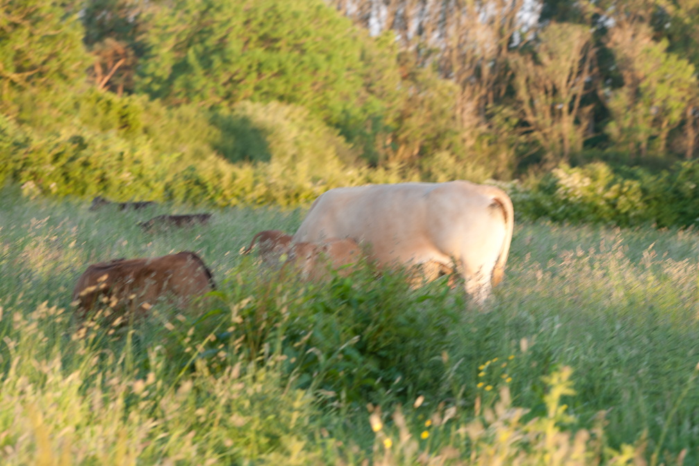 2022-06-n10-4969.jpg