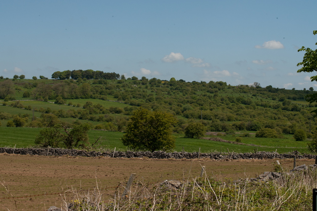 2023-05-n10-5282.jpg