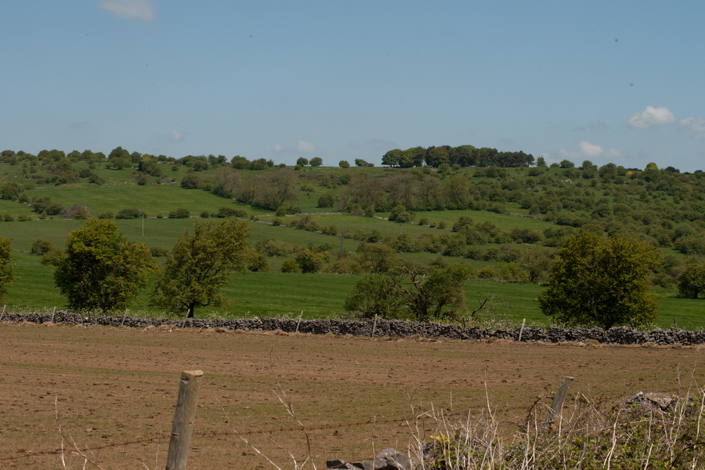 2023-05-n10-5283.jpg