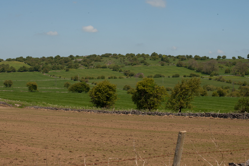 2023-05-n10-5284.jpg