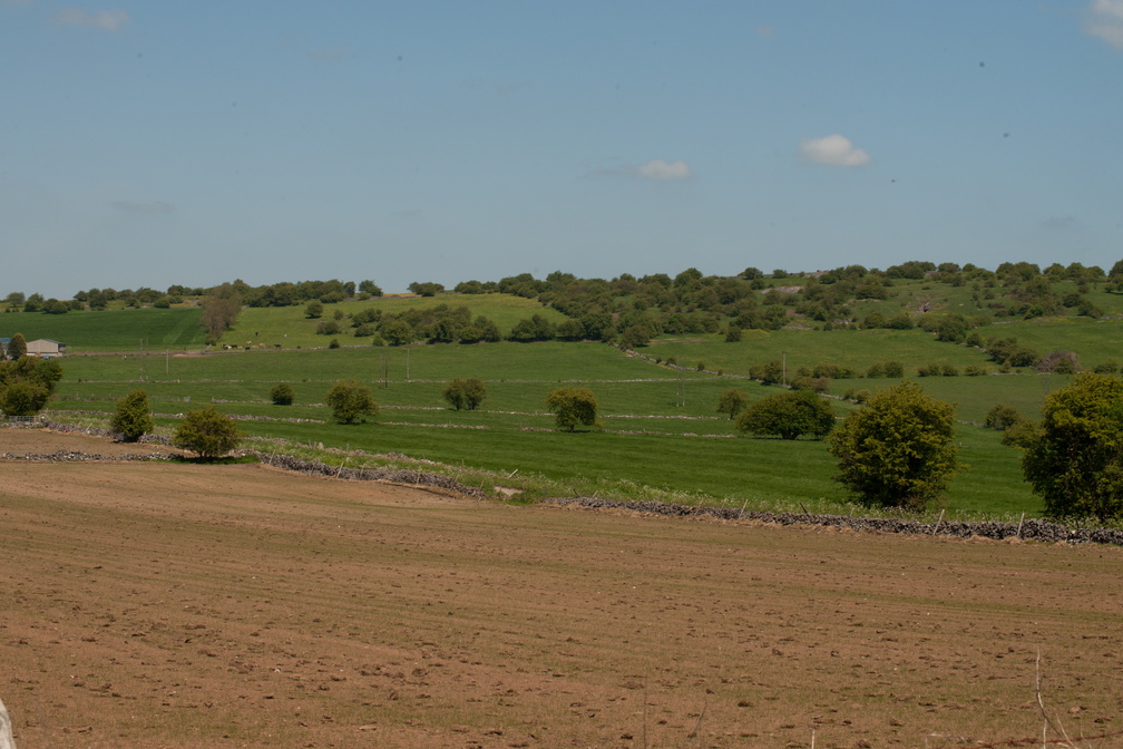 2023-05-n10-5285.jpg