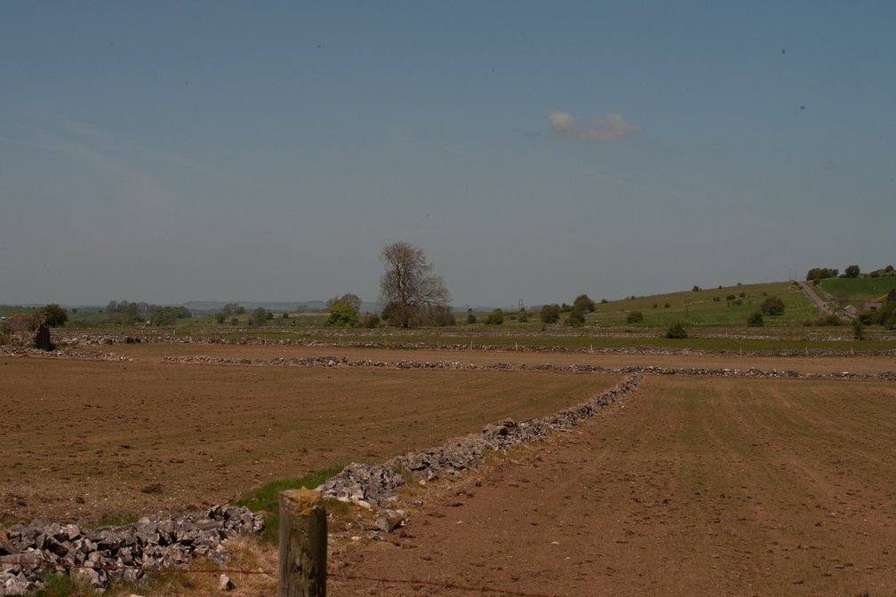 2023-05-n10-5288.jpg