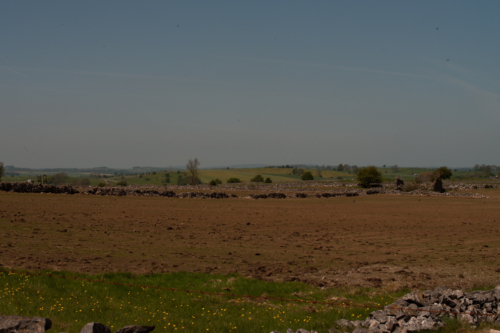 2023-05-n10-5290.jpg