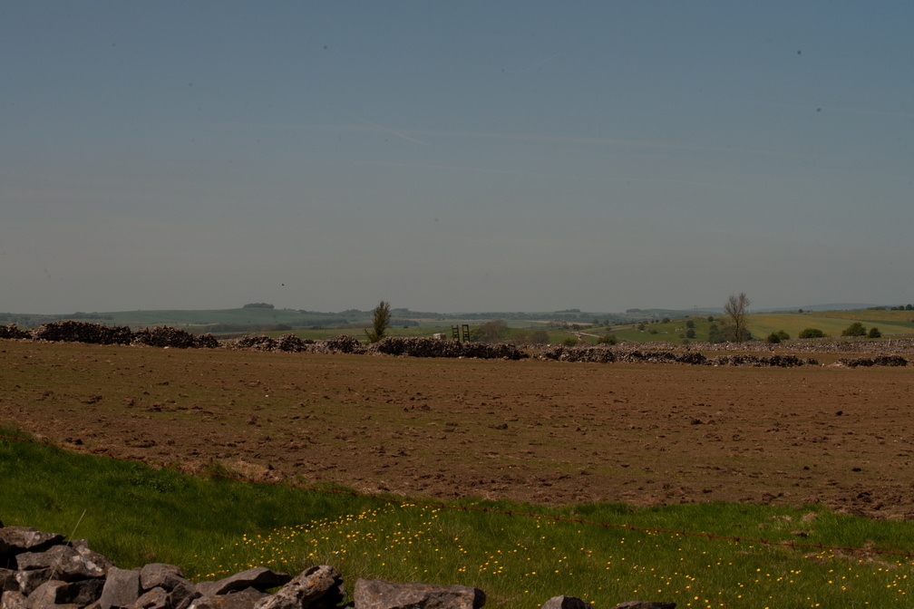 2023-05-n10-5291.jpg