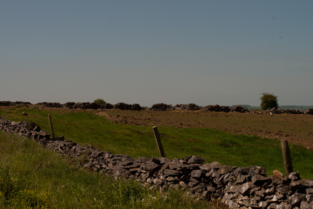 2023-05-n10-5293.jpg