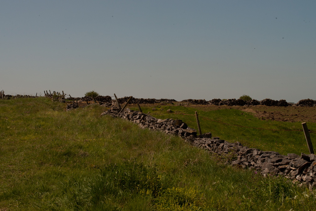 2023-05-n10-5294.jpg