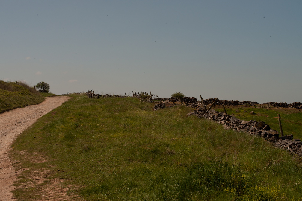 2023-05-n10-5295.jpg