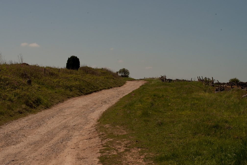 2023-05-n10-5296.jpg