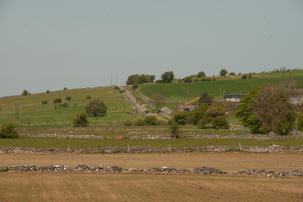 2023-05-n10-5321.jpg