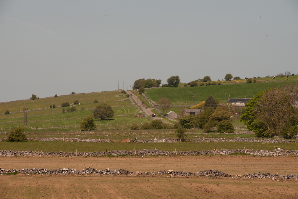 2023-05-n10-5323.jpg