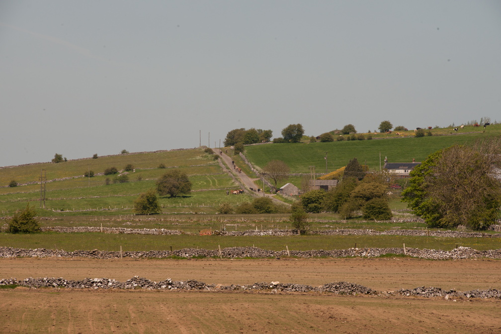 2023-05-n10-5326.jpg