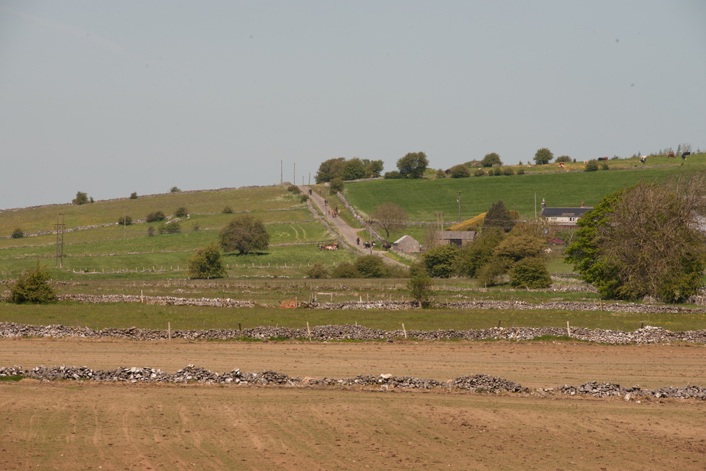 2023-05-n10-5331.jpg