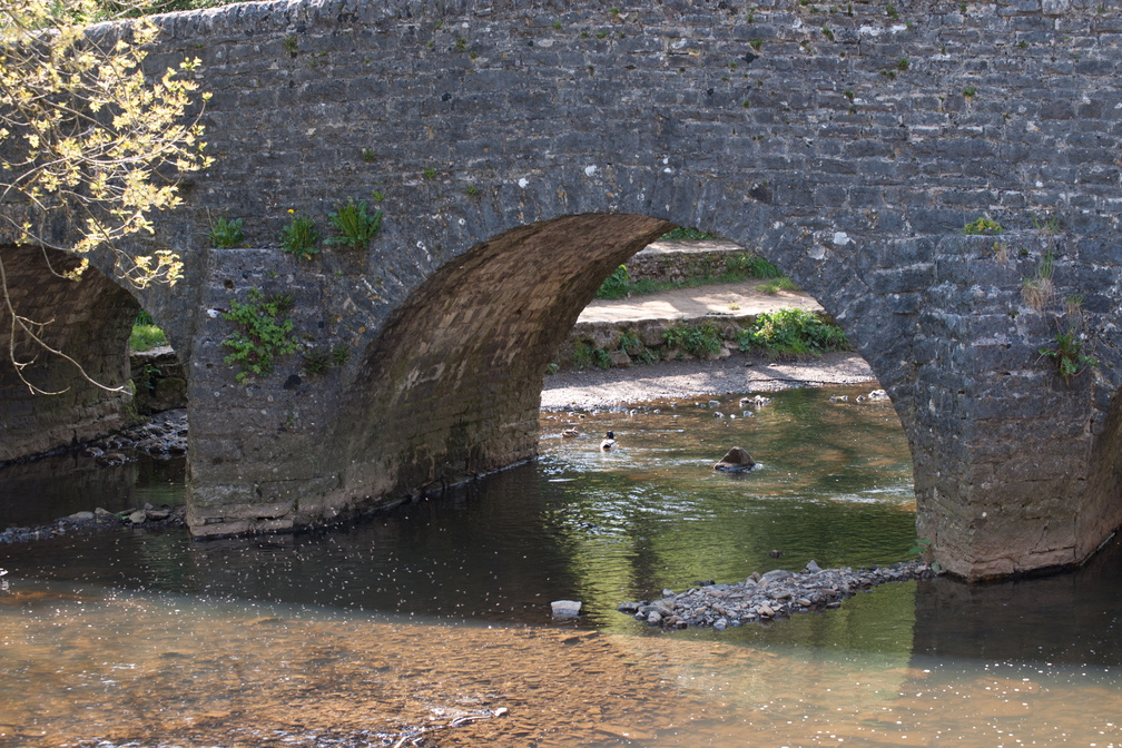 2023-05-n10-5389.jpg
