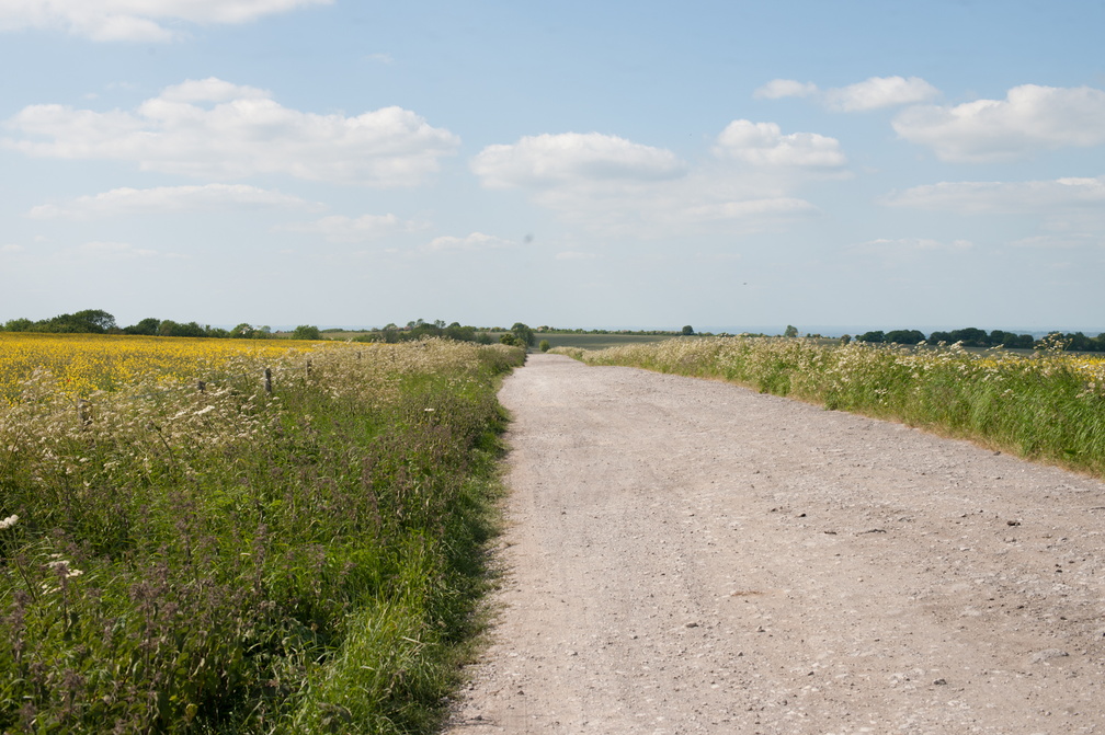 2023-06-n10-5591.jpg