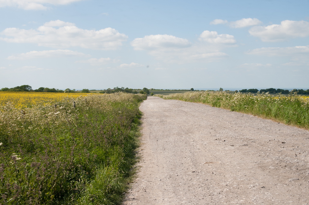 2023-06-n10-5592.jpg