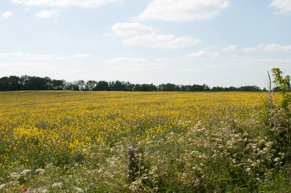 2023-06-n10-5594.jpg