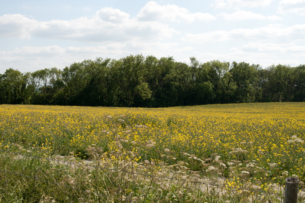 2023-06-n10-5595.jpg