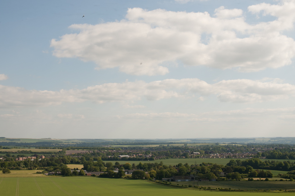 2023-06-n10-5695.jpg