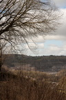 2025-03-n10-7708