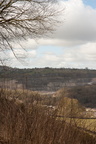 2025-03-n10-7709